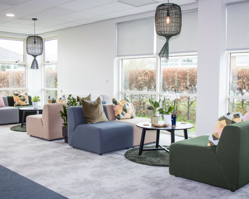 Mood-boosting house plants